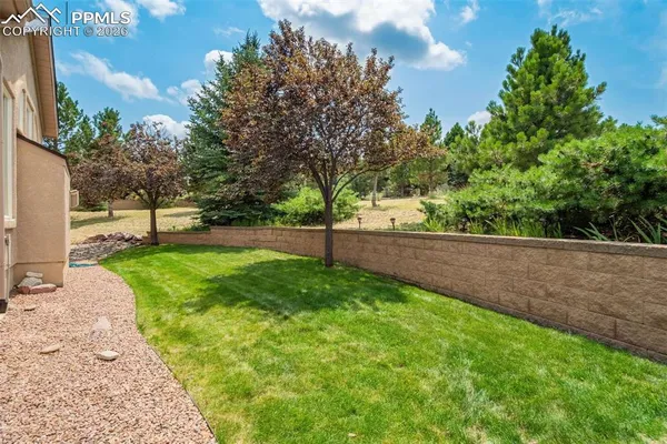 a view of a back yard
