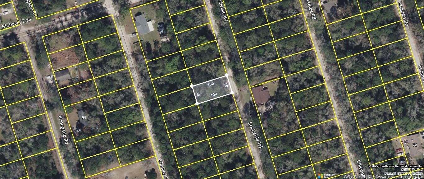 40 Rochelsie Road Crawfordville, FL 32327 - Photo 2 of 4