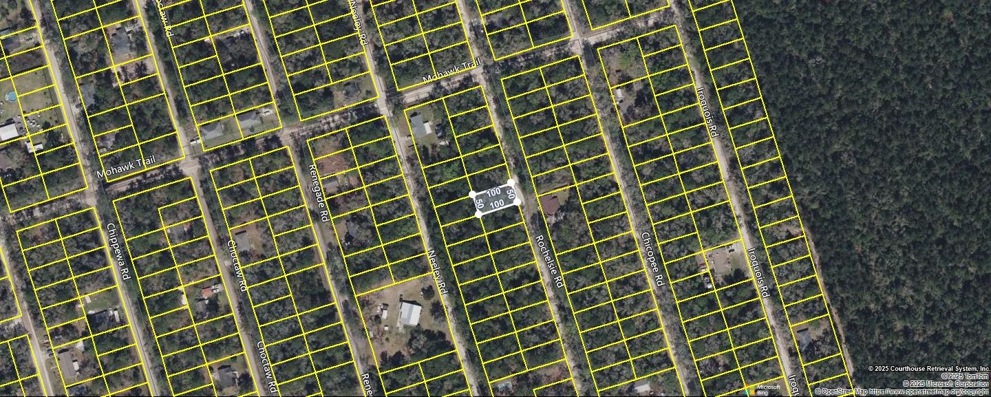 40 Rochelsie Road Crawfordville, FL 32327 - Photo 3 of 4