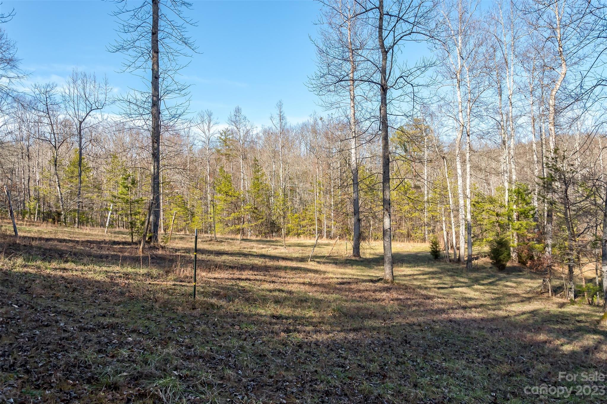 Tbd Sloping Meadow Mill Spring, NC 28756 - Photo 12 of 16 a view of yard