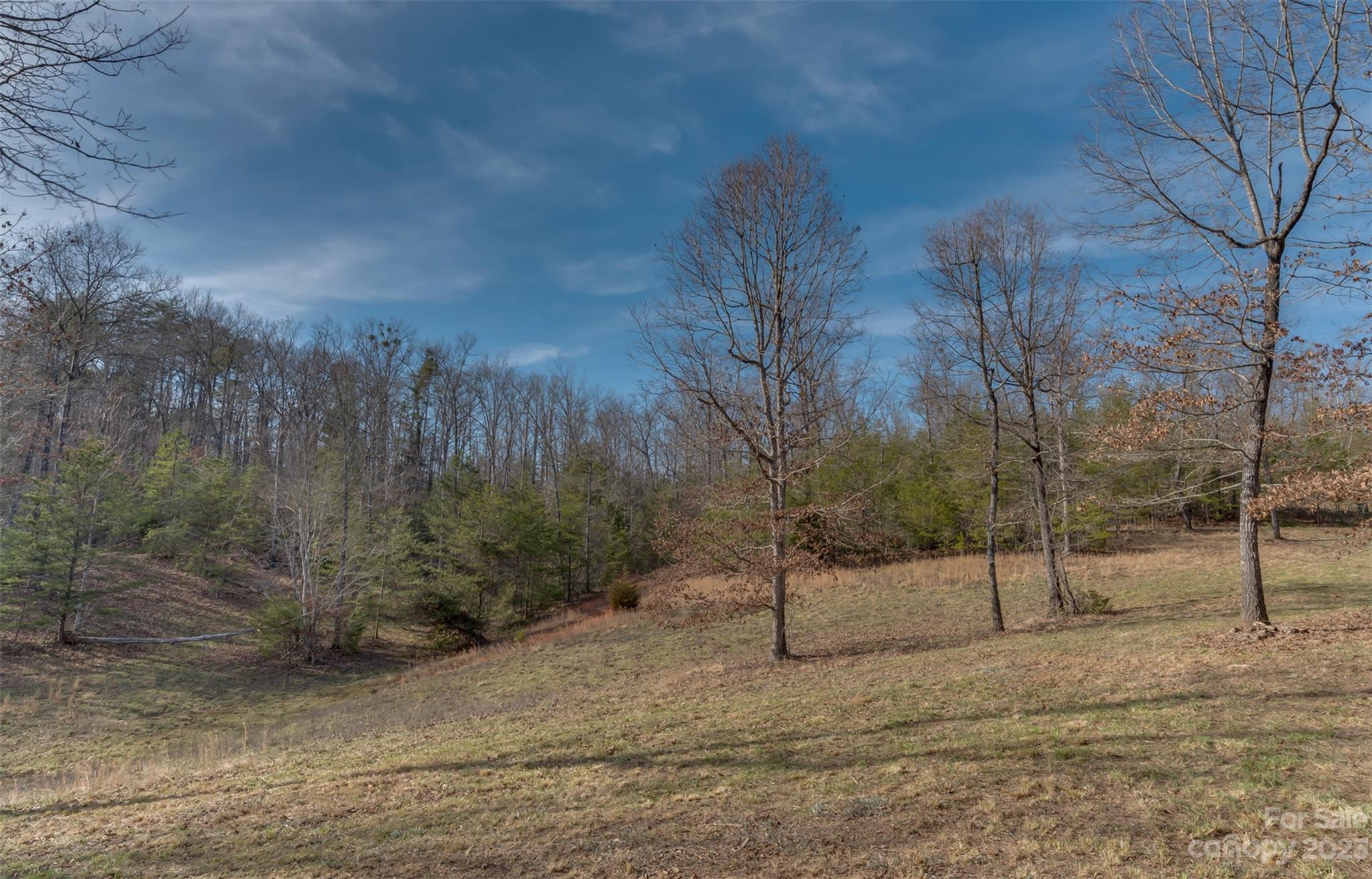 Tbd Sloping Meadow Mill Spring, NC 28756 - Photo 9 of 16 a view of a house with a snow