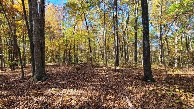 $49,700 | 0 Mac Johnson Road Northwest, Cartersville, GA 30120