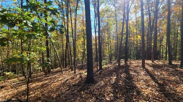 $49,700 | 0 Mac Johnson Road Northwest, Cartersville, GA 30120