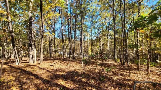 $49,700 | 0 Mac Johnson Road Northwest, Cartersville, GA 30120