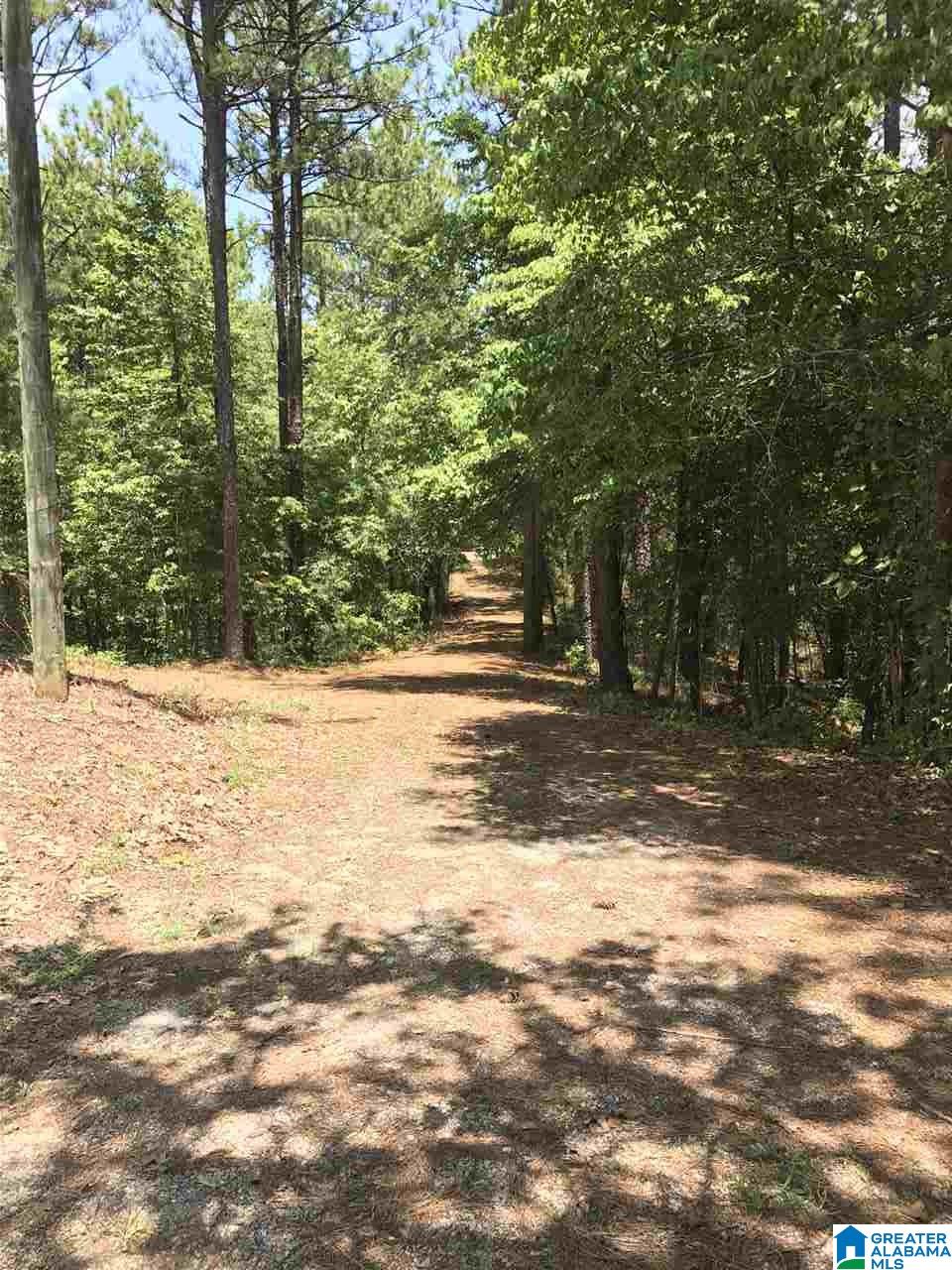 140 County Road 196 Clanton, AL 35046 - Photo 8 of 28