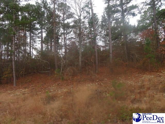 4-5 Morrison Road Hartsville, SC 29550 - Photo 1 of 3 Gallery Image 1