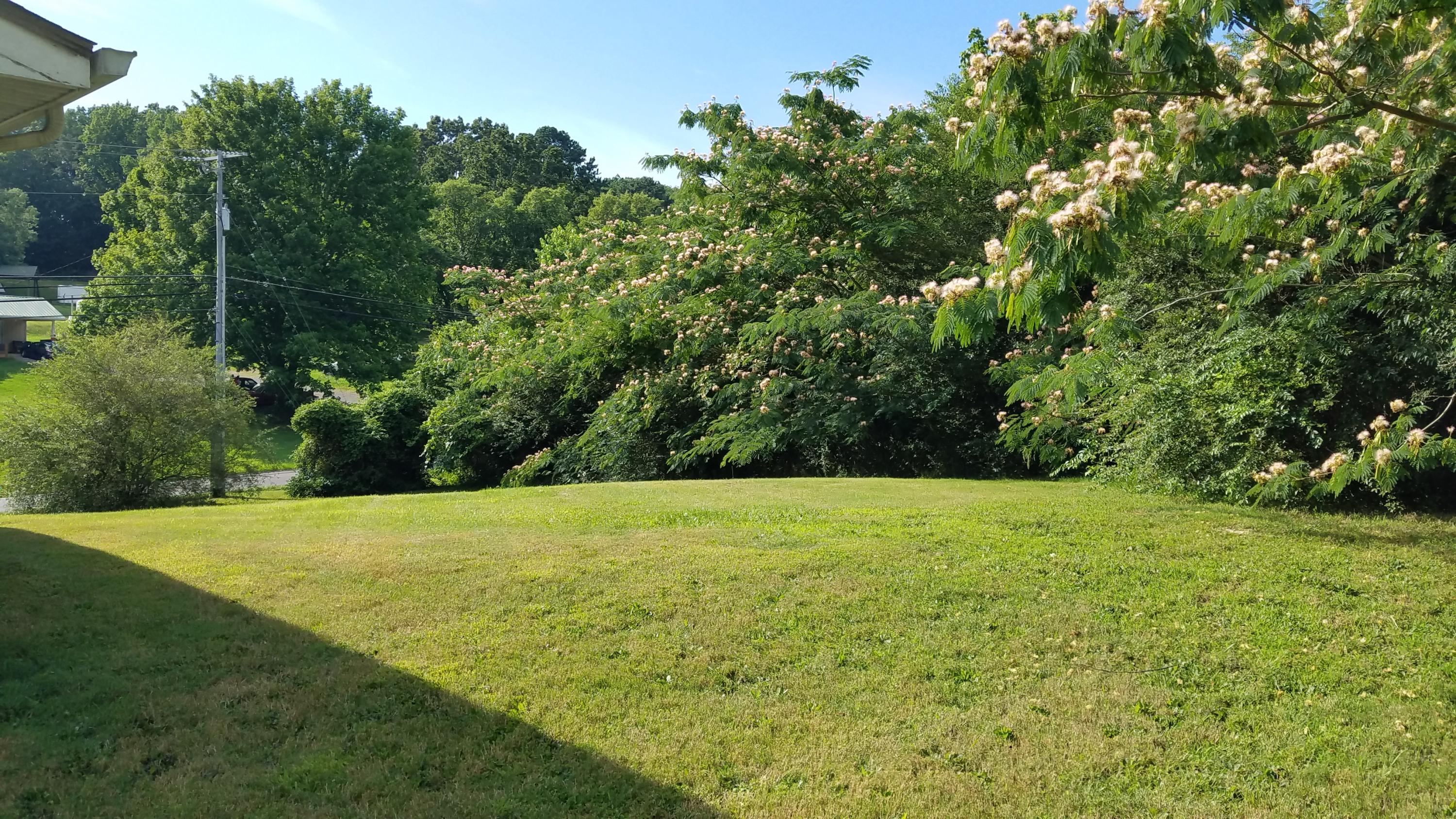 1401 Rosedale Drive Cleveland, TN 37323 - Photo 13 of 13 20190626_180904