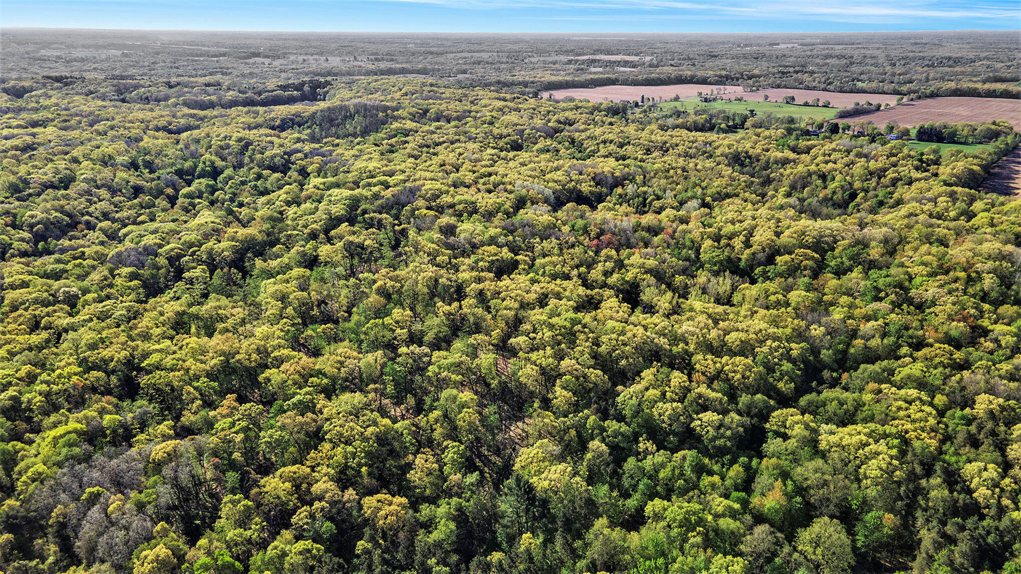 Bellevue Road Battle Creek, MI 49014 - Photo 1 of 13 002_file_258