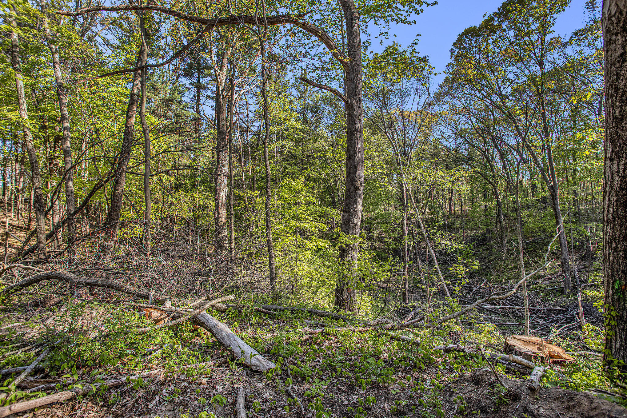 Bellevue Road Battle Creek, MI 49014 - Photo 12 of 13 012_file_491