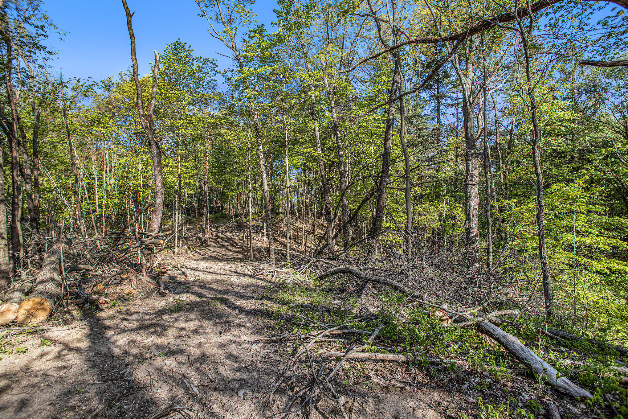 Bellevue Road Battle Creek, MI 49014 - Photo 13 of 13 013_file_771