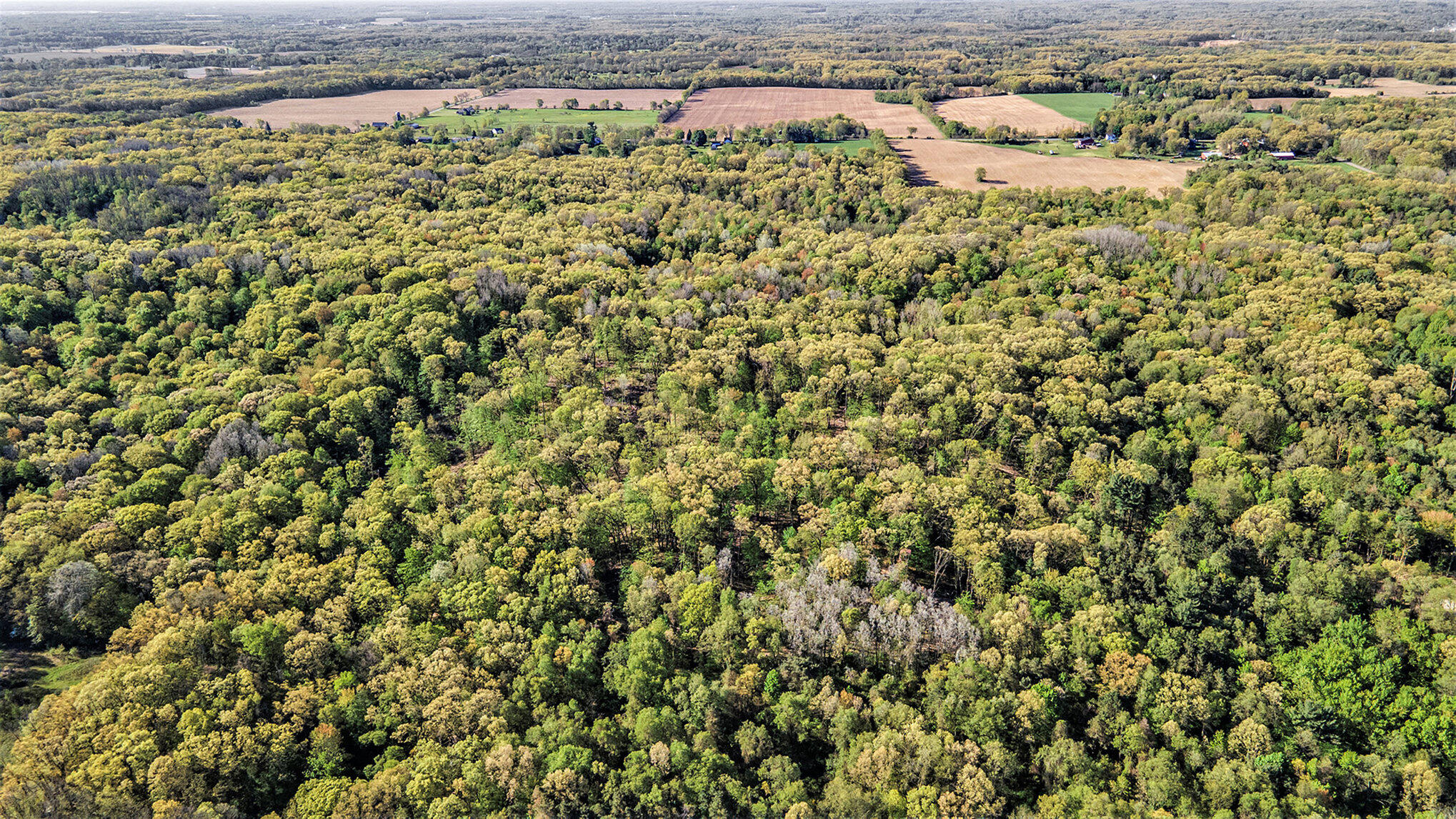 Bellevue Road Battle Creek, MI 49014 - Photo 2 of 13 003_file_680