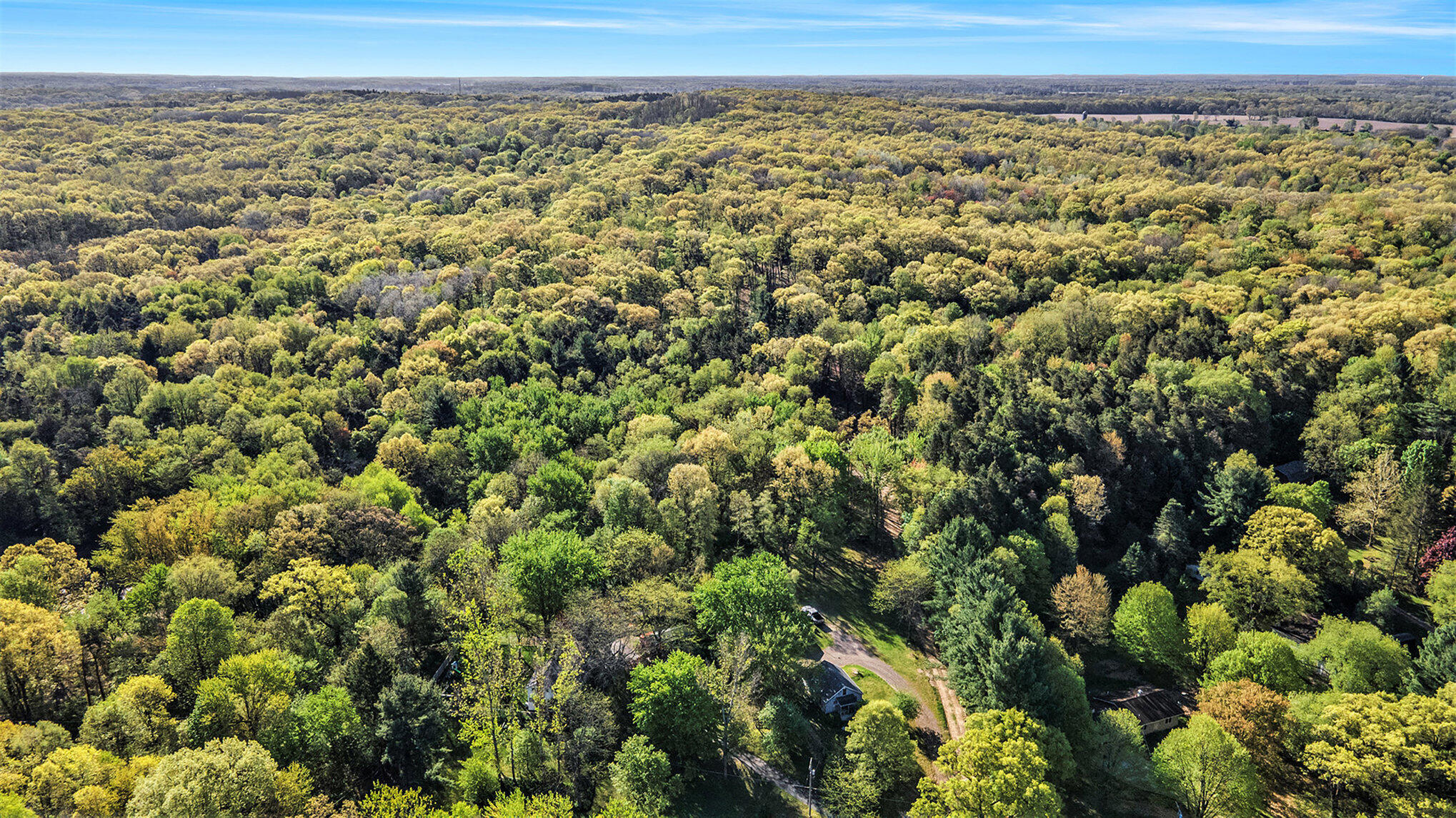 Bellevue Road Battle Creek, MI 49014 - Photo 3 of 13 001_file_322