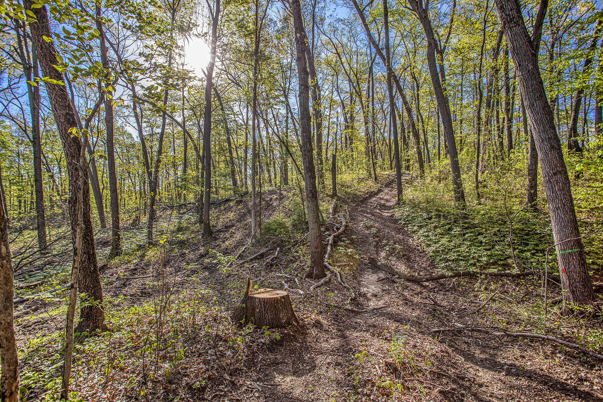 Bellevue Road Battle Creek, MI 49014 - Photo 4 of 13 004_file_531