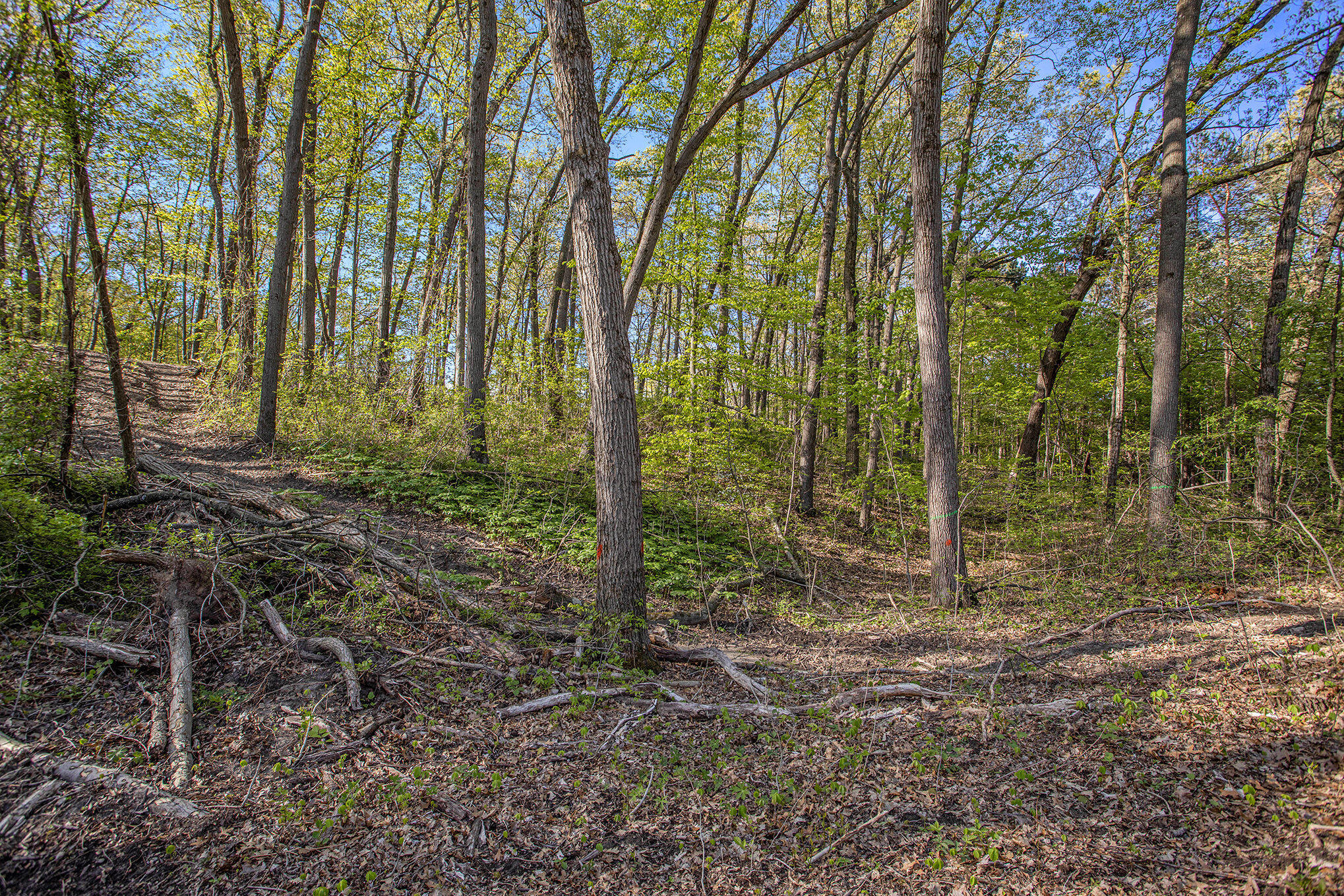 Bellevue Road Battle Creek, MI 49014 - Photo 6 of 13 006_file_960