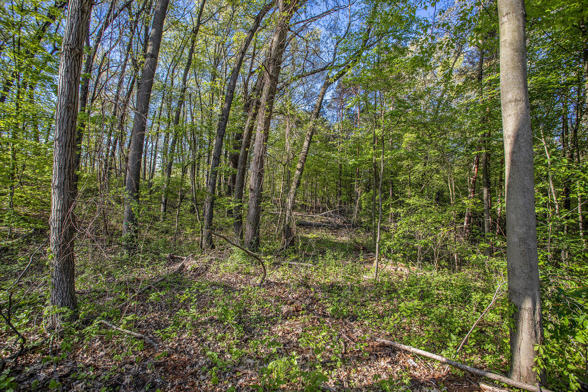 Bellevue Road Battle Creek, MI 49014 - Photo 7 of 13 007_file_633
