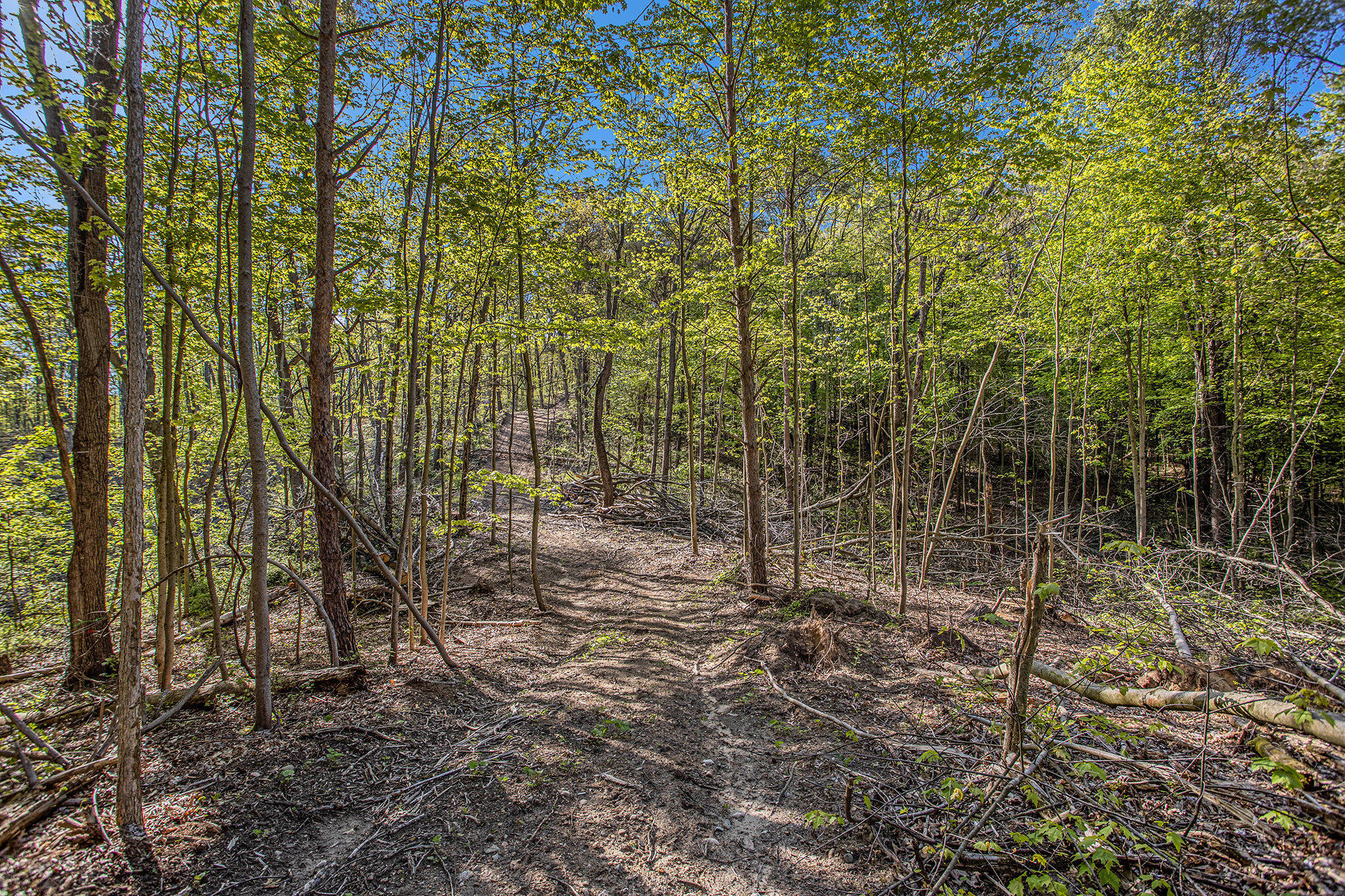 Bellevue Road Battle Creek, MI 49014 - Photo 10 of 13 010_file_429