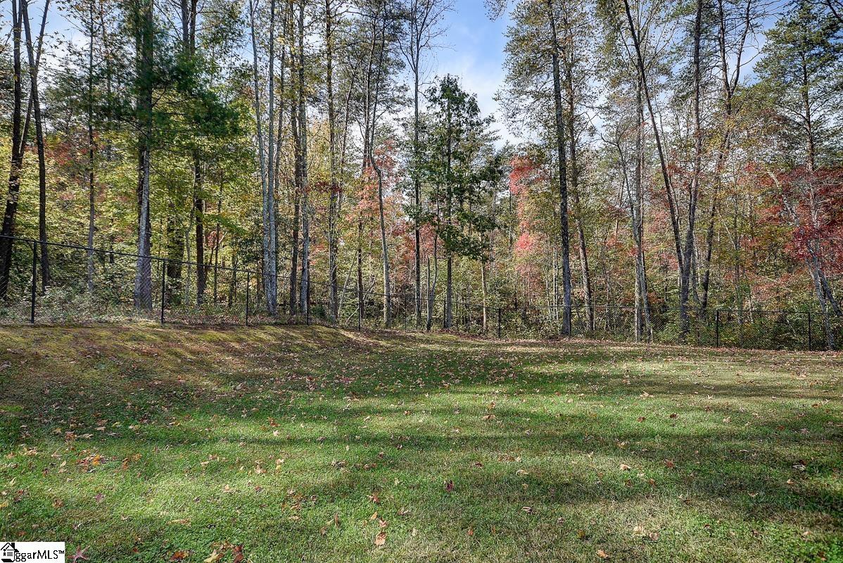 283 Goodwin Road Travelers Rest, SC 29690 - Photo 7 of 33