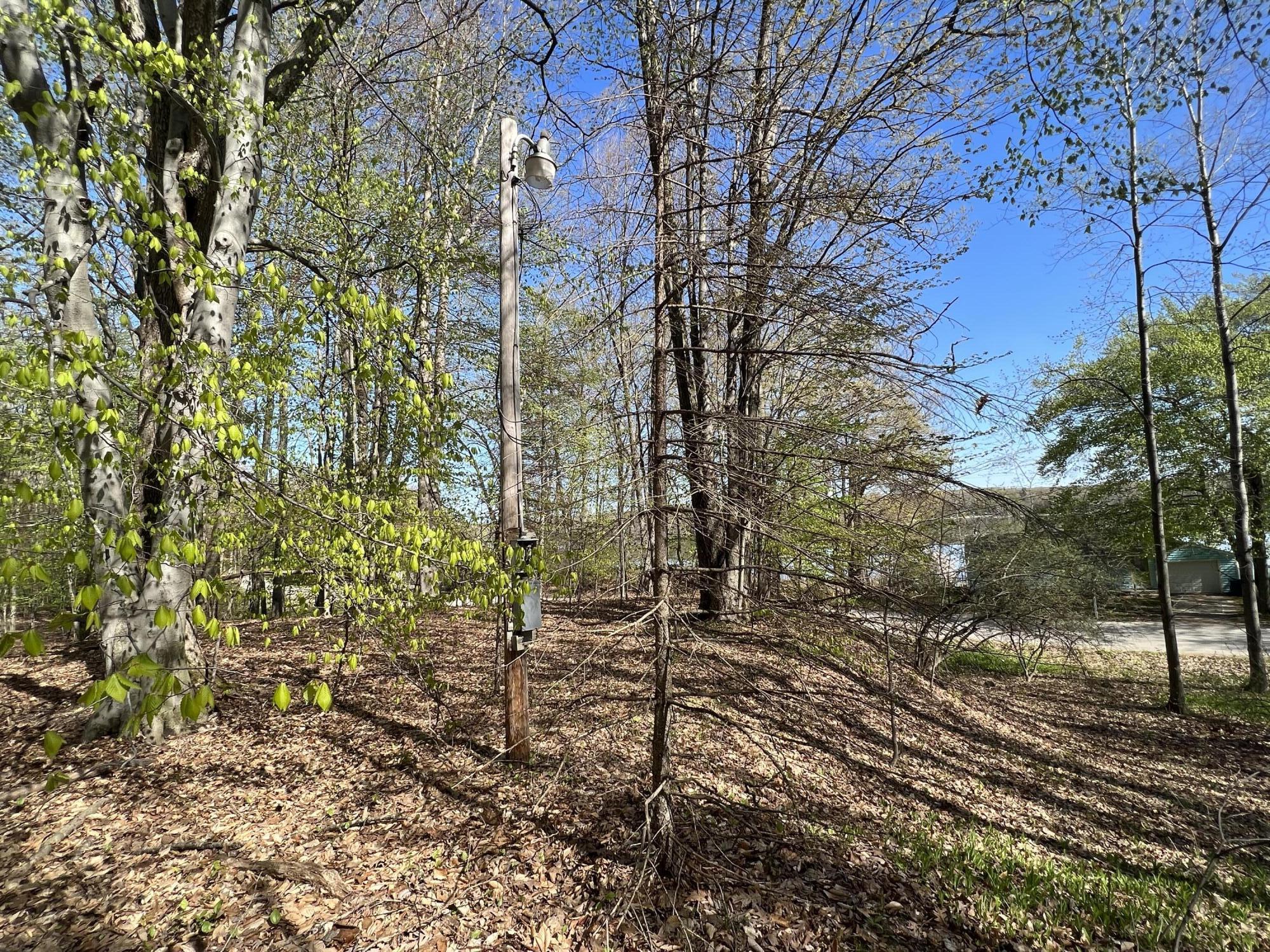 East Town Line Road Fountain, MI 49410 - Photo 20 of 24 Lot view with electric pole