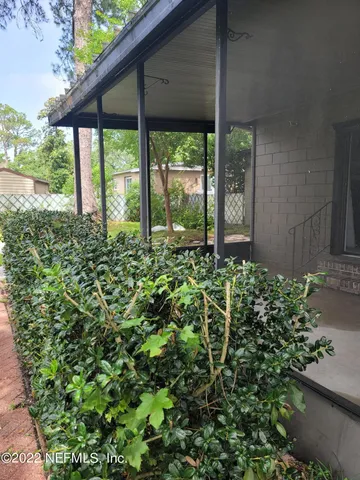 a view of a garden with plants