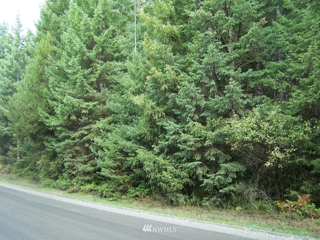 9 Shetland Road Shelton, WA 98584 - Photo 1 of 1 Gallery Image 1