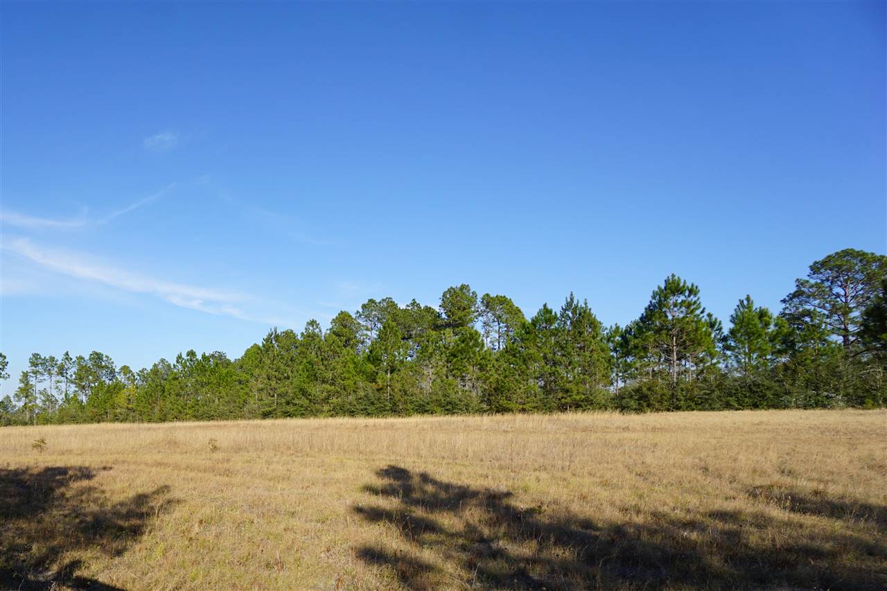 31079 Highway 90 Seminole, AL 36574 - Photo 7 of 33
