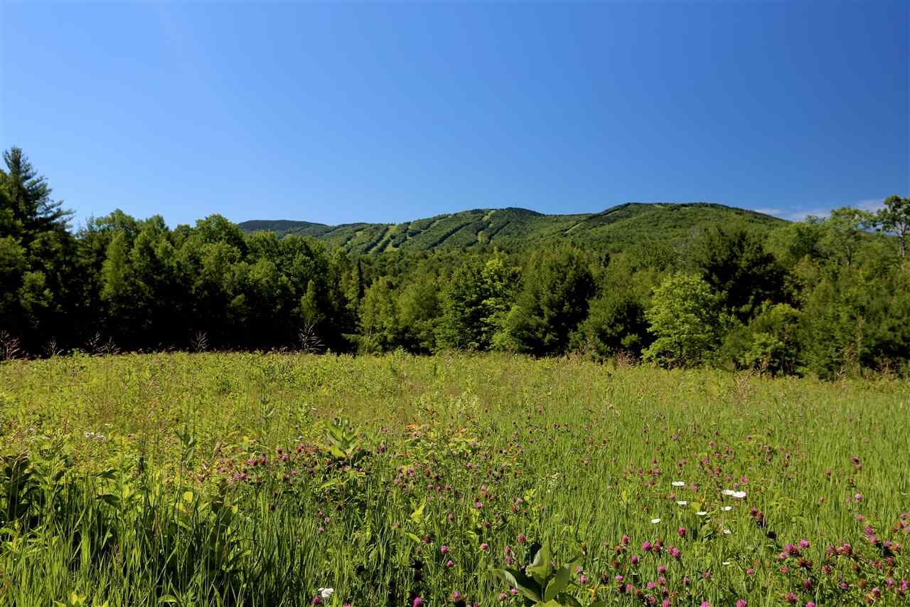Lot 4 Wiggins Road, Unit 4 Danbury, NH 03230 - Photo 1 of 6