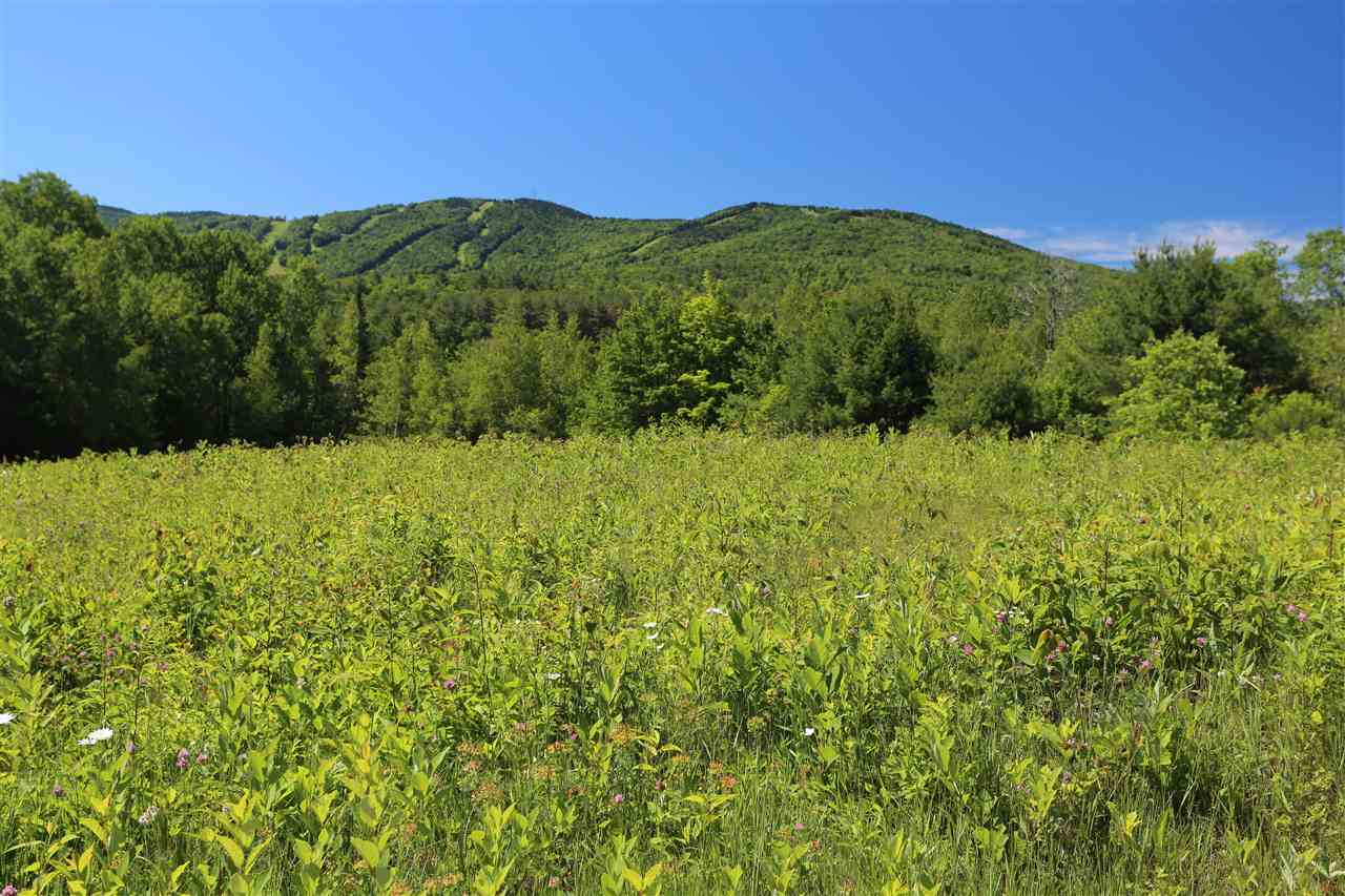 Lot 4 Wiggins Road, Unit 4 Danbury, NH 03230 - Photo 4 of 6