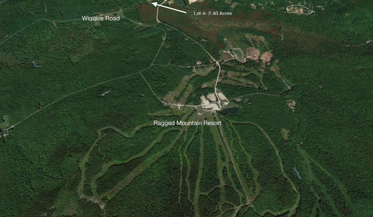 Lot 4 Wiggins Road, Unit 4 Danbury, NH 03230 - Photo 6 of 6