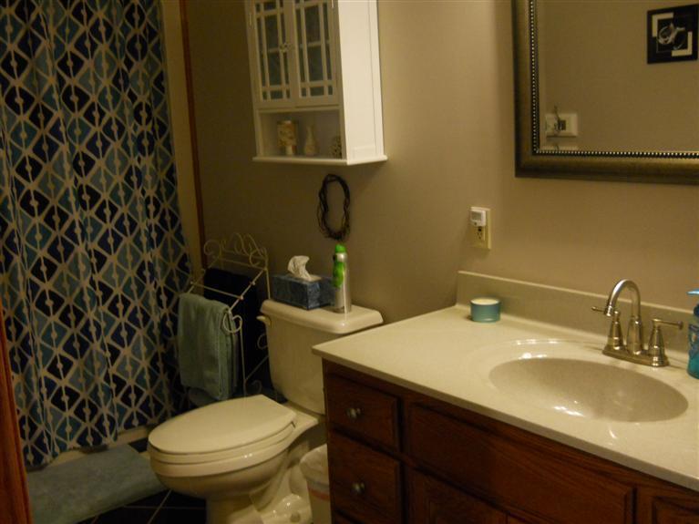 11027 Bricker Road Belding, MI 48809 - Photo 17 of 22 Additional Photo