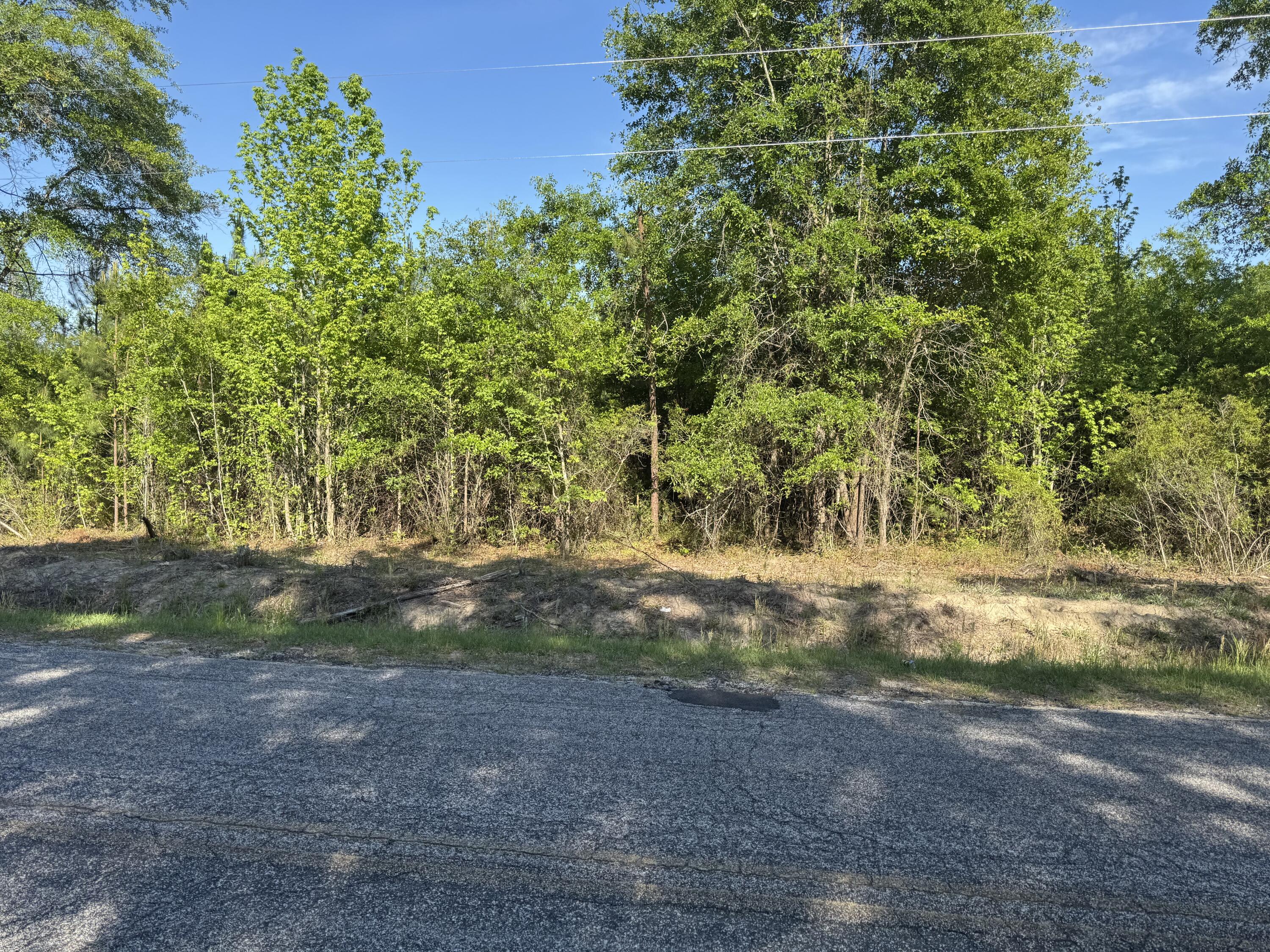 0 Huggins Road Rembert, SC 29128 - Photo 4 of 13 Gallery Image 4