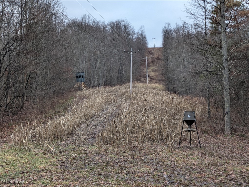 Brown Peavine Road Alledonia, OH 43902 - Photo 13 of 50