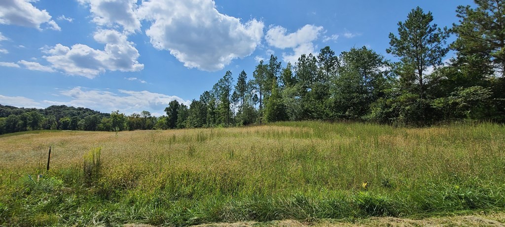 733 Athens Road Calhoun, TN 37309 - Photo 10 of 15 Gallery Image 10