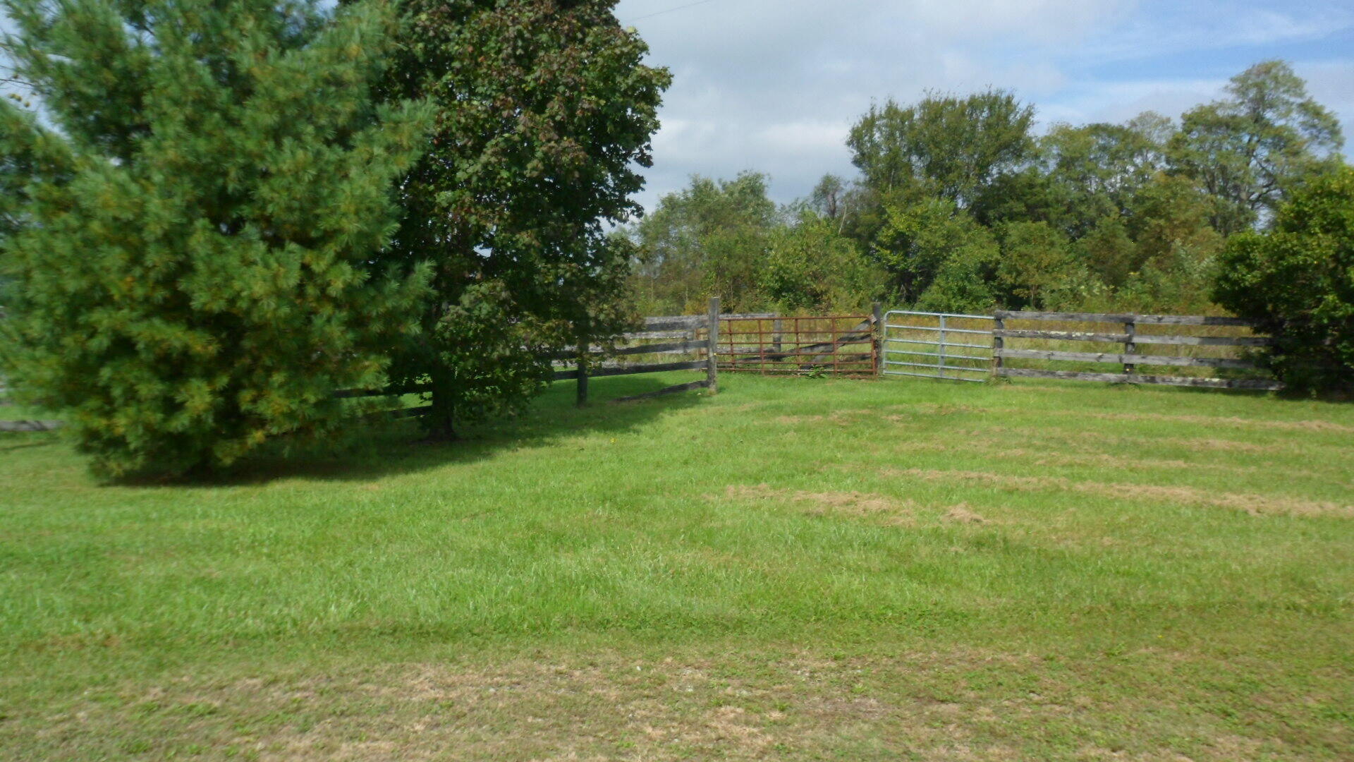 479 Locust Fork Road Stamping Ground, KY 40379 - Photo 50 of 50 fornt side yard gate