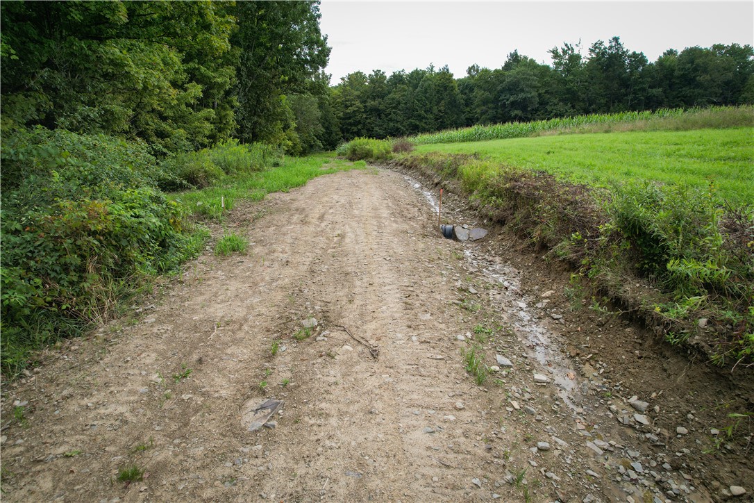 Hill Road Spencer, NY 14883 - Photo 10 of 48