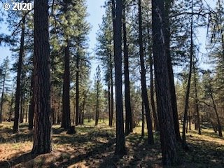 Pine Forest Road Goldendale, WA 98620 - Photo 1 of 3 Gallery Image 1