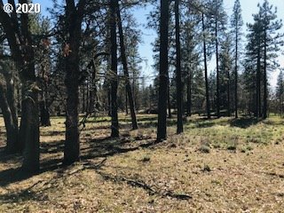 Pine Forest Road Goldendale, WA 98620 - Photo 2 of 3 Gallery Image 2
