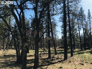 Pine Forest Road Goldendale, WA 98620 - Photo 3 of 3 Gallery Image 3