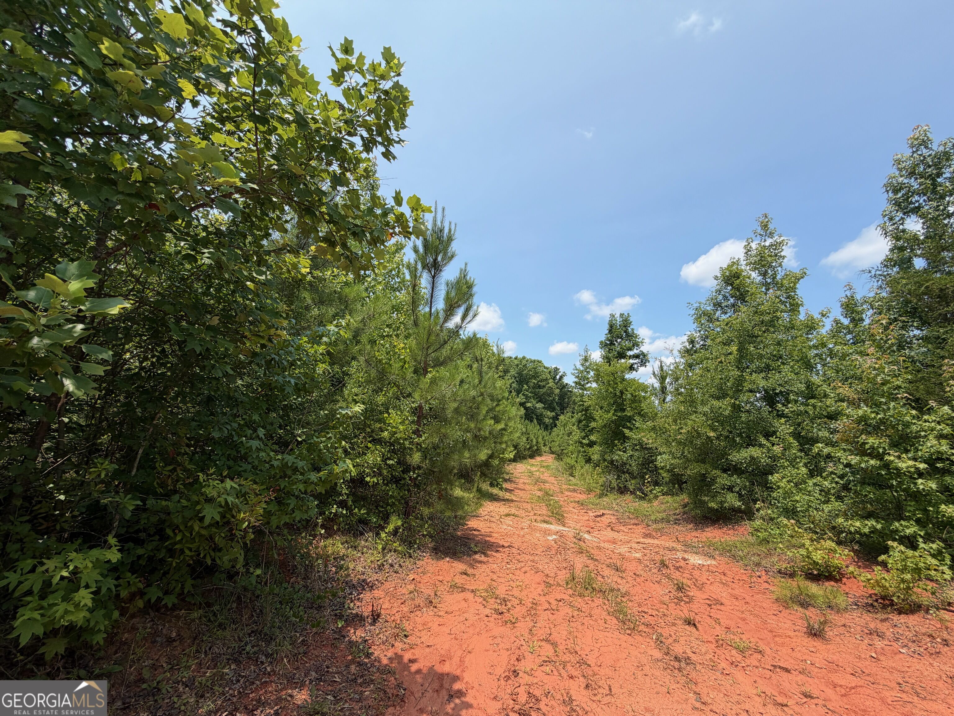 47-acres Cochran Road Madison, GA 30650 - Photo 17 of 38 Gallery Image 17