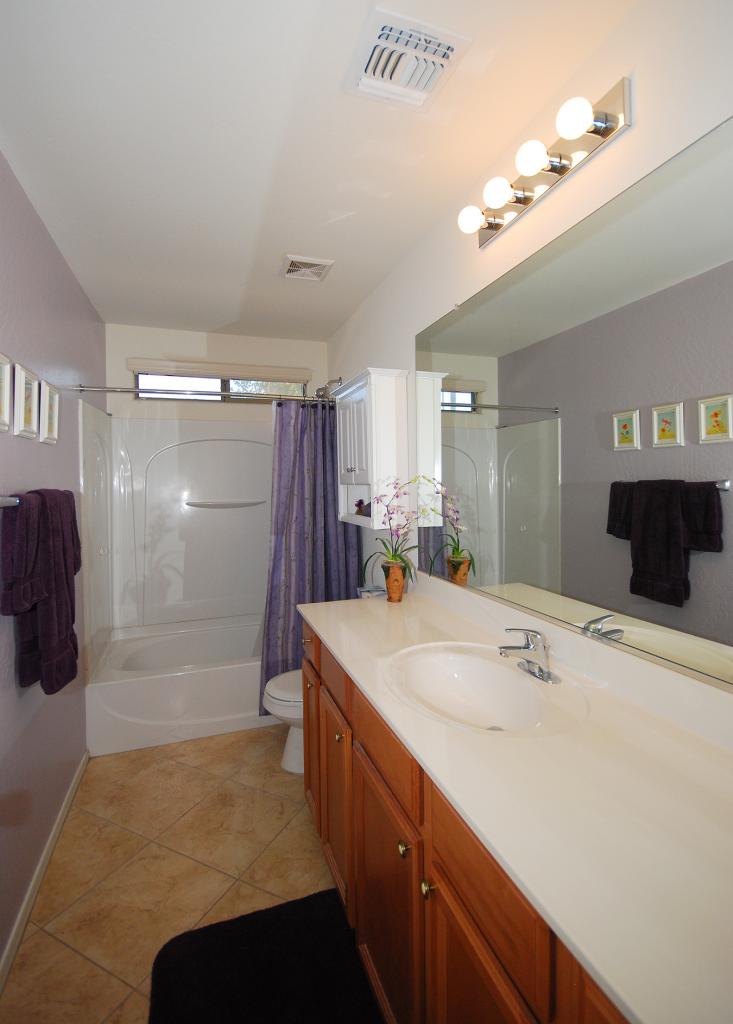 2043 West Tanner Ranch Road Queen Creek, AZ 85144 - Photo 8 of 18 a bathroom with a sink a toilet a mirror and shower