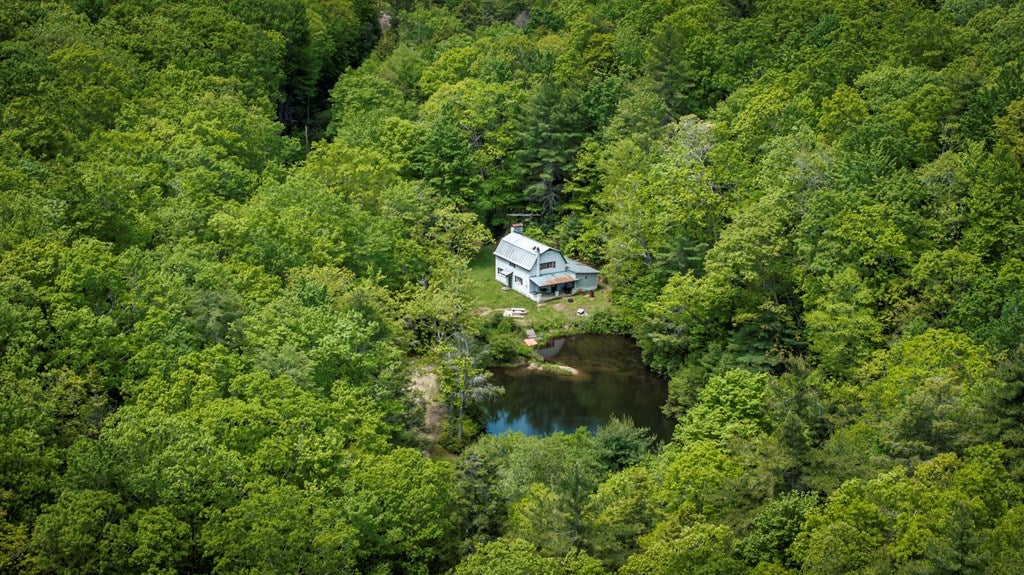 Tbd Blue Springs Road Troutdale, VA 24378 - Photo 10 of 52 Gallery Image 10