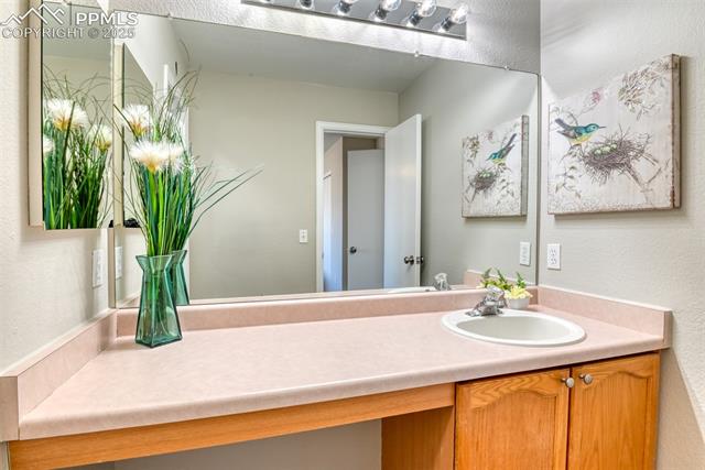 6810 Shore View Colorado Springs, CO 80922 - Photo 28 of 48