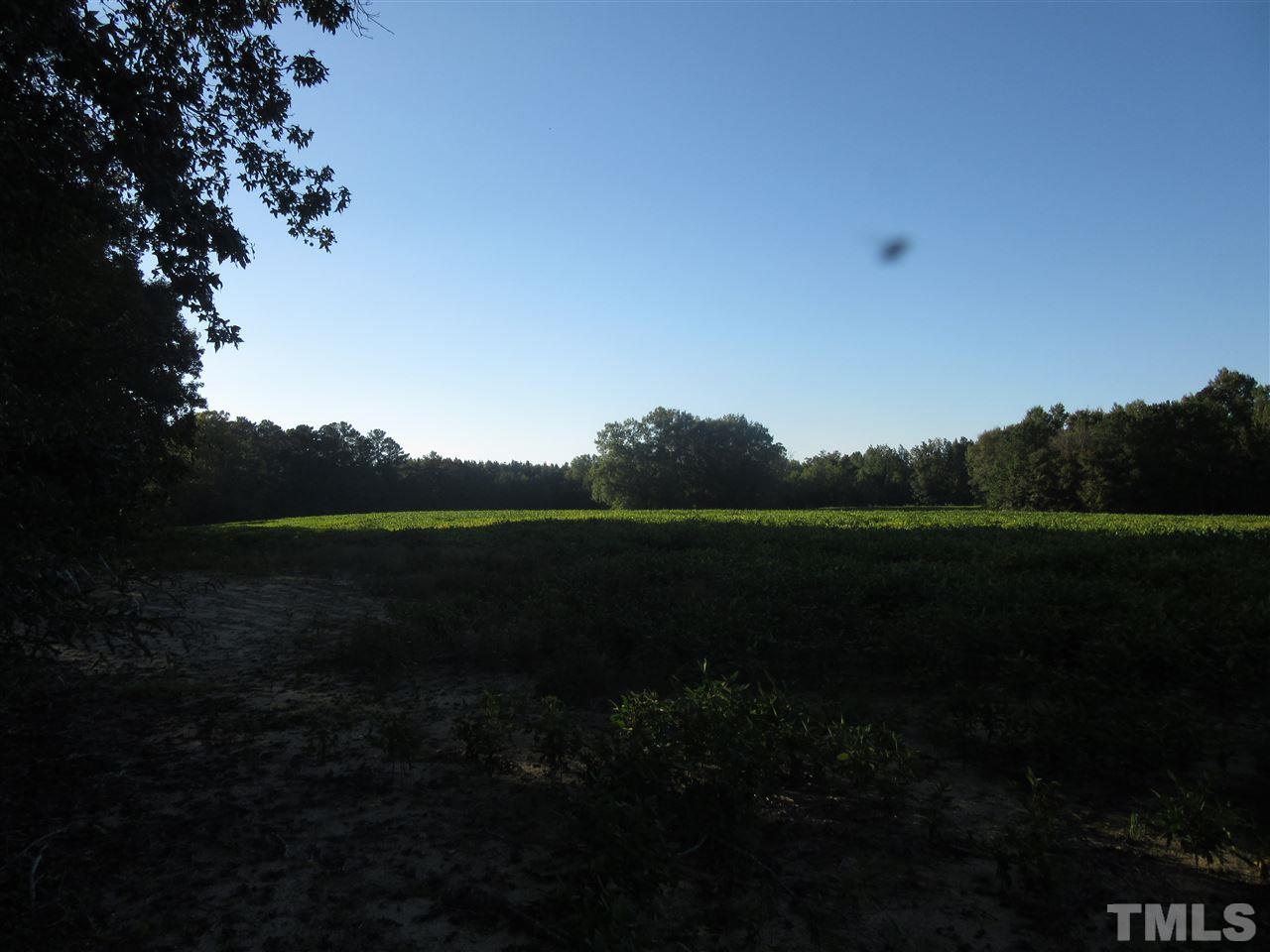 8309 Fowler Road, Unit 7 32 ACRES Zebulon, NC 27597 - Photo 2 of 3
