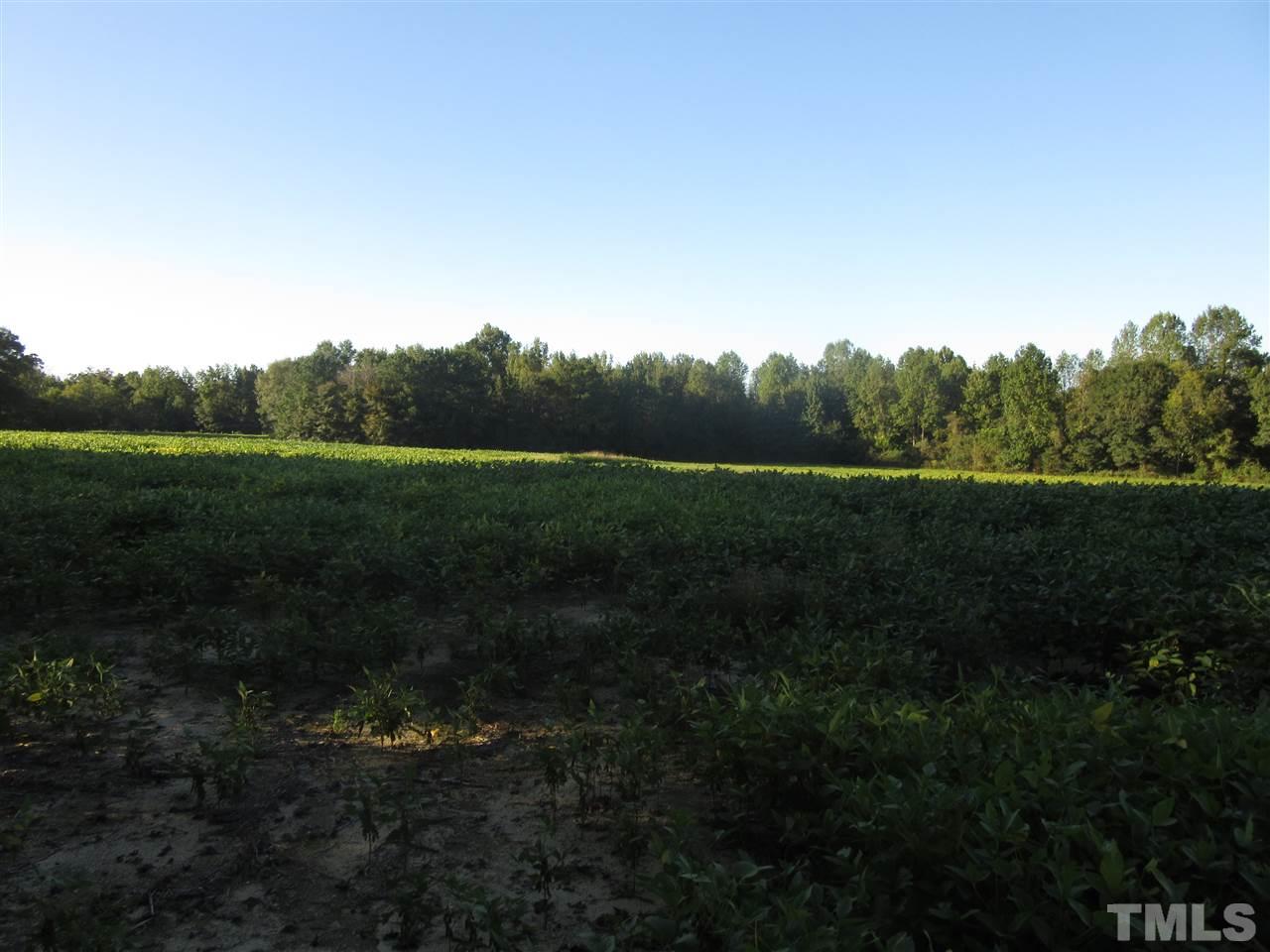 8309 Fowler Road, Unit 7 32 ACRES Zebulon, NC 27597 - Photo 3 of 3