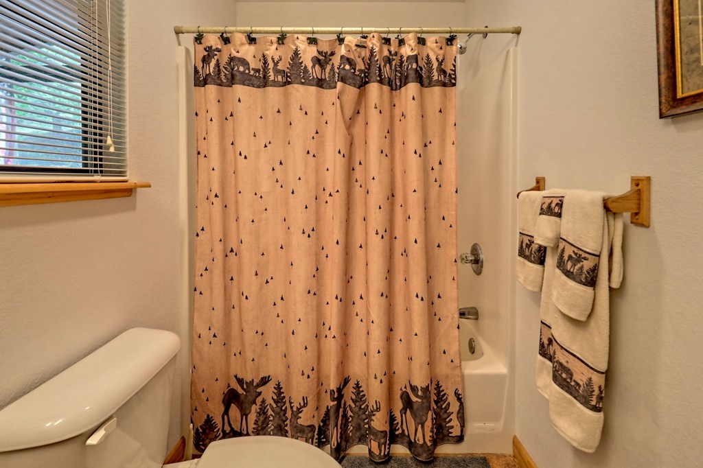 470 Raccoon Ridge Murphy, NC 28906 - Photo 34 of 66 Gallery Image 34