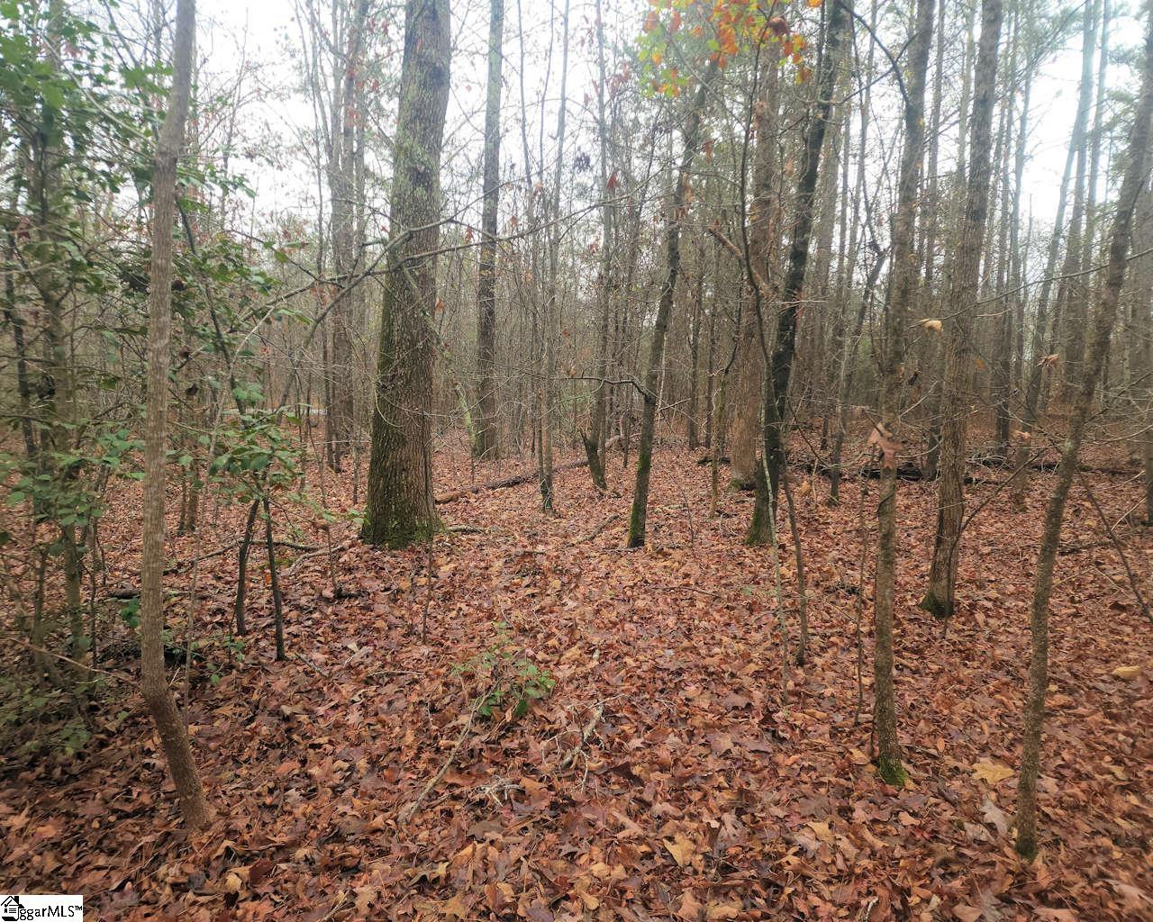 Scott Lane Pelzer, SC 29669 - Photo 12 of 19 Gallery Image 12