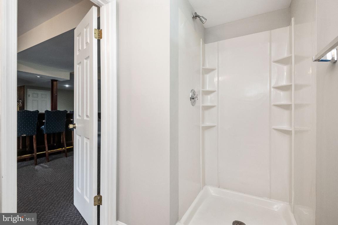 1700 Parsonage Road Parkton, MD 21120 - Photo 53 of 69 Lower Level Shower