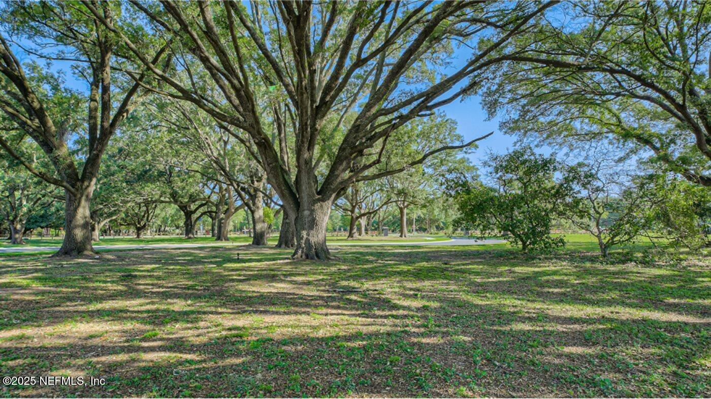 3138 Adelaide Road Green Cove Springs, FL 32043 - Photo 6 of 24 a big yard with lots of trees