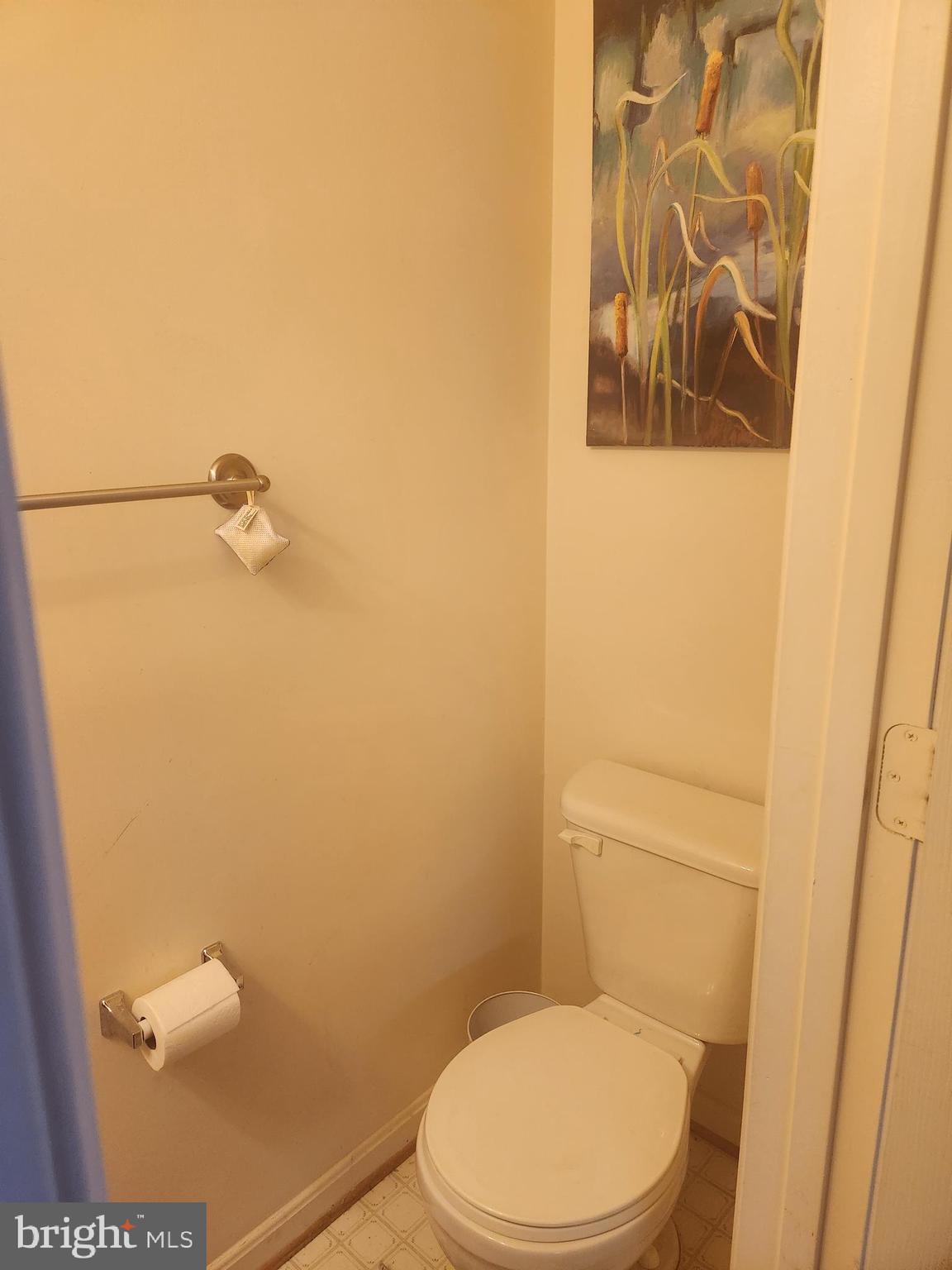 5086 Stapleton Terrace Frederick, MD 21703 - Photo 21 of 24 a white toilet sitting next to a shower curtain