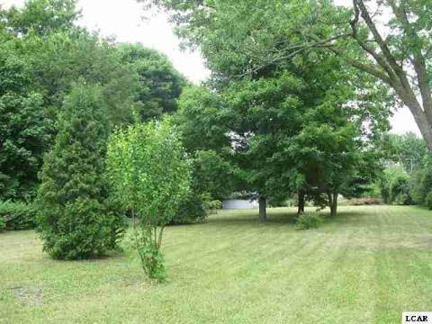 806 South Occidental Highway Tecumseh, MI 49286 - Photo 10 of 12 20015445-9.JPG