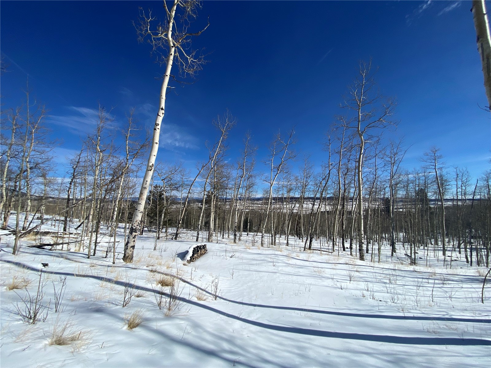 893 Lumberjack Road Fairplay, CO 80440 - Photo 10 of 34 Gallery Image 10